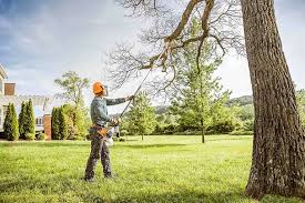 Best Hedge Trimming  in Sturgeon Bay, WI