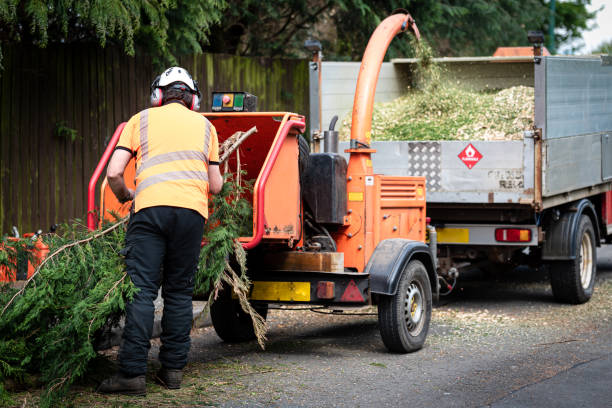 Best Lawn Drainage Solutions  in Sturgeon Bay, WI