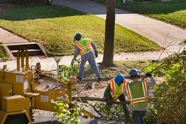 Best Aeration Services  in Sturgeon Bay, WI