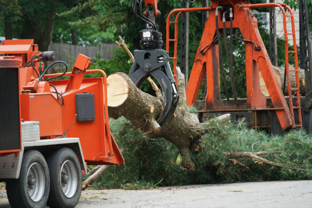 Best Lawn Grading and Leveling  in Sturgeon Bay, WI