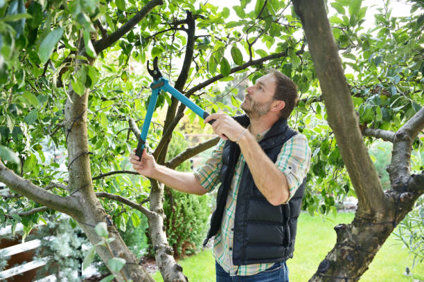 Best Lawn Watering Services  in Sturgeon Bay, WI